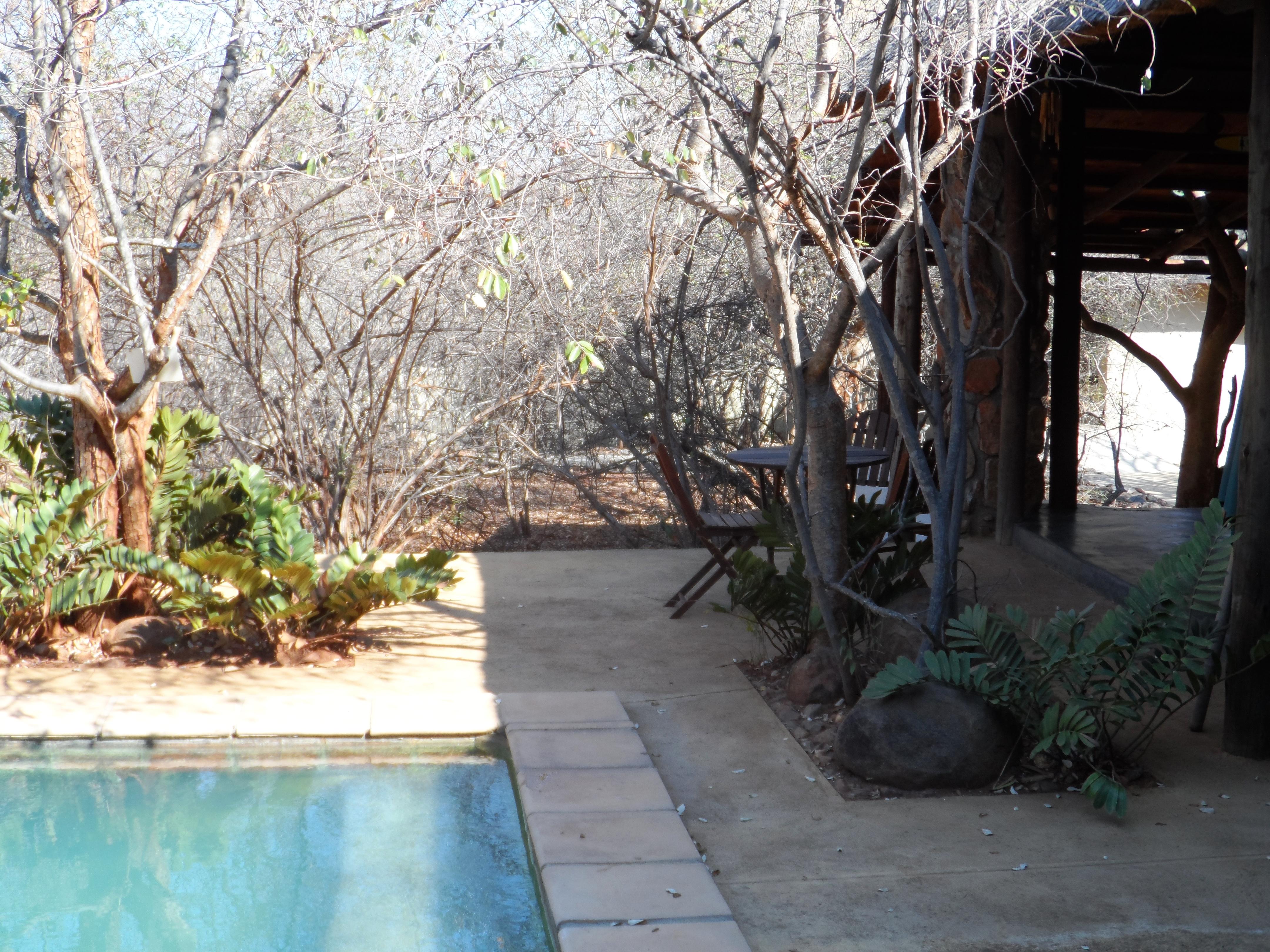 Shikwari Suites Hoedspruit Bagian luar foto