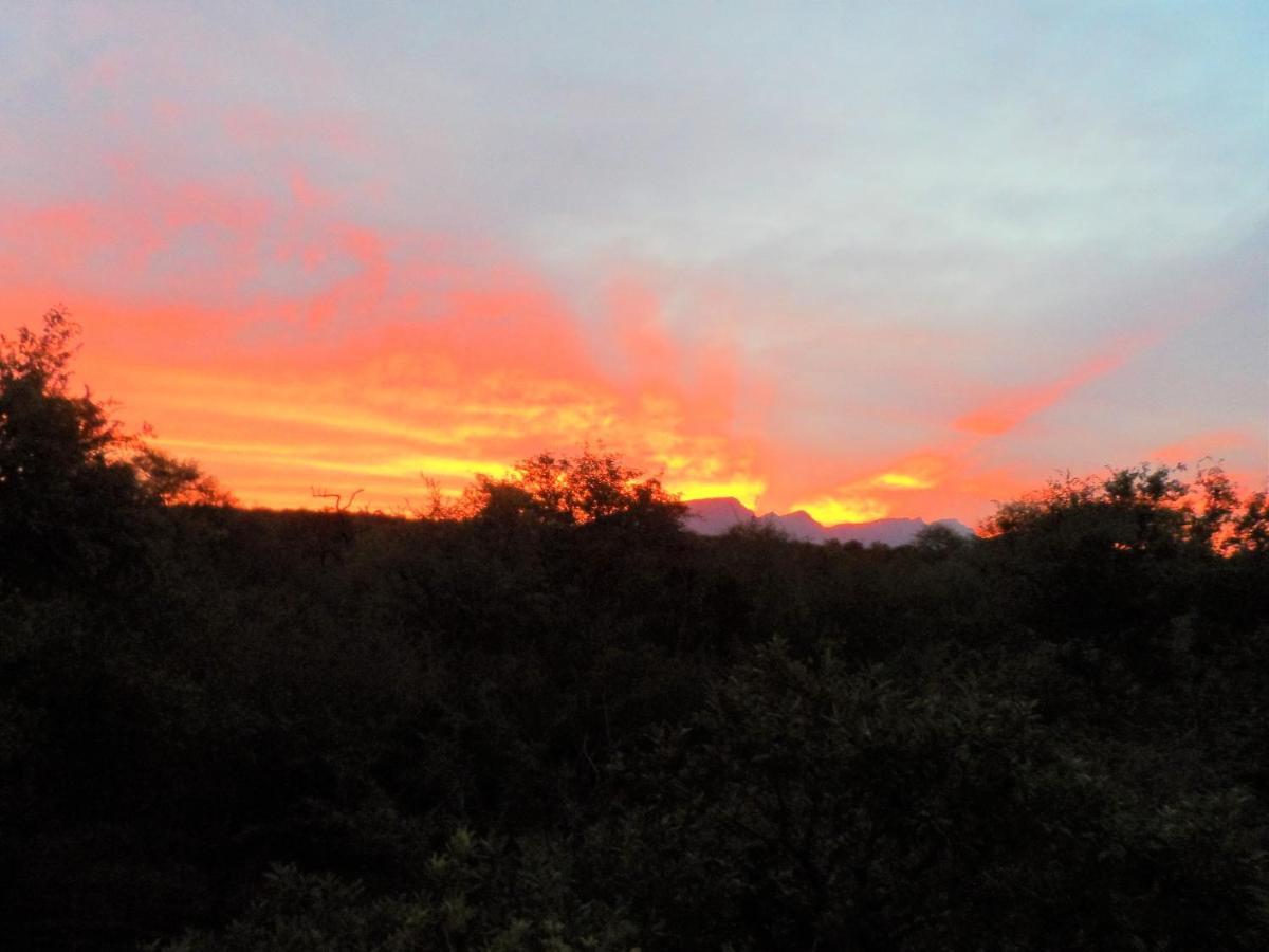 Shikwari Suites Hoedspruit Bagian luar foto