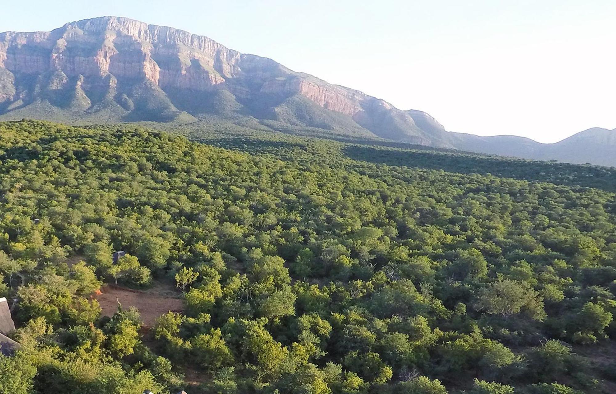 Shikwari Suites Hoedspruit Bagian luar foto